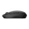 HP 300 Dual Mode Wireless Mouse Black 6CR71AA