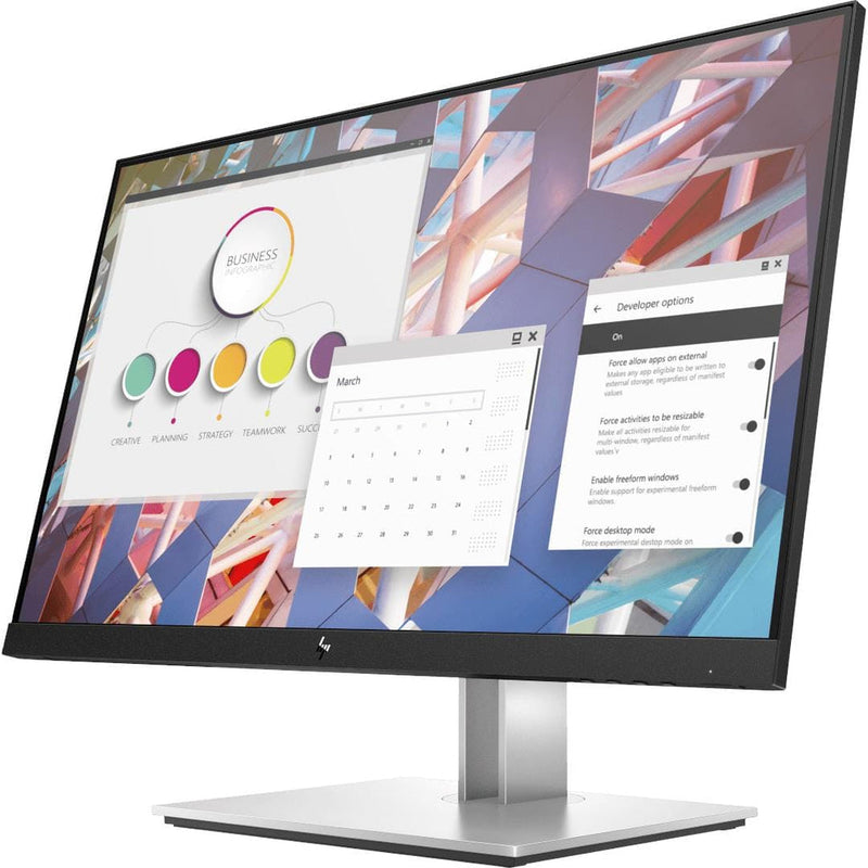 HP E24 G4 23.8' FHD Monitor 9VF99AS