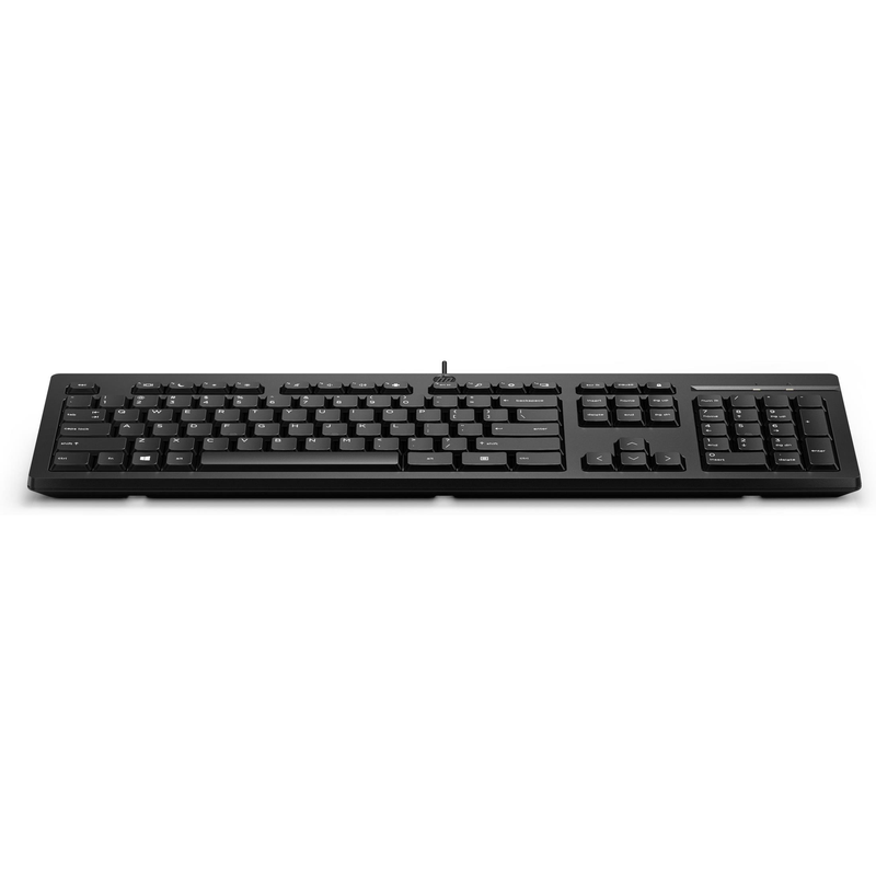 HP 125 Wired Keyboard 266C9AA