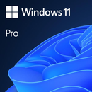 Microsoft Windows 11 Pro DVD Single-User License FQC-10528